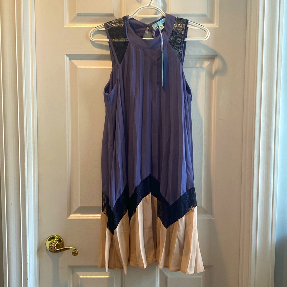 NWT She + Sky dress small